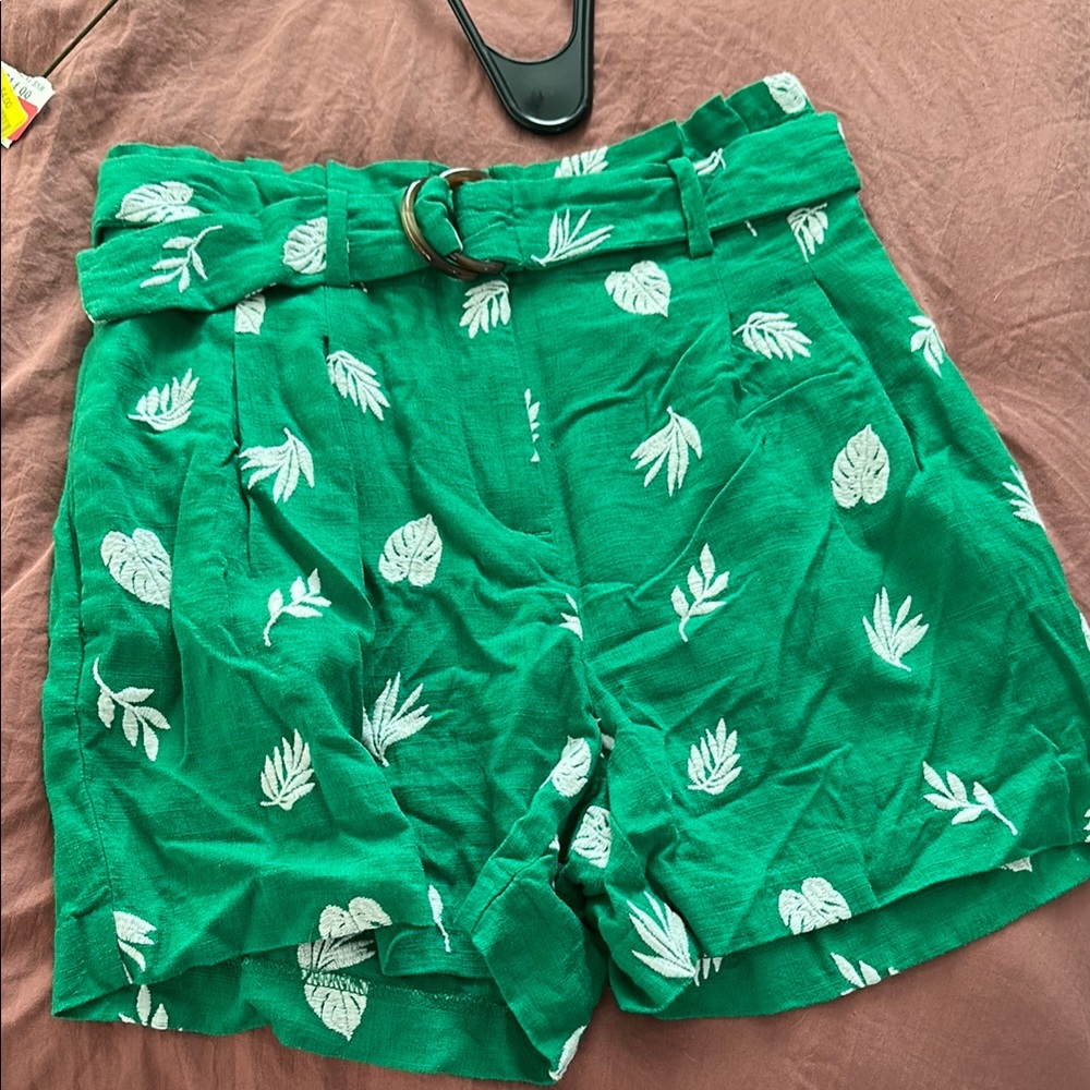 Ann Taylor High Waist Green and White Shorts